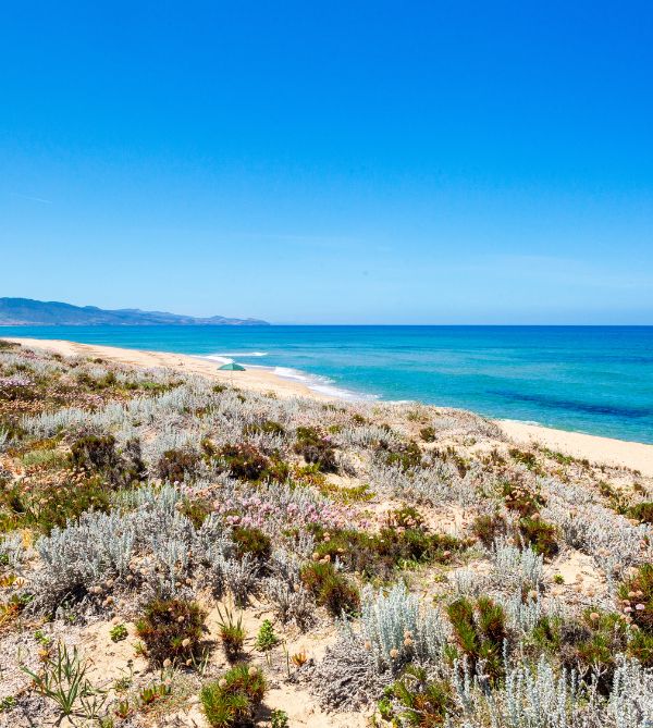 A postcard from Isola Rossa – All the nuances of your holiday in Sardinia